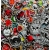 Folia do hydrografiki - Design kolor SL019